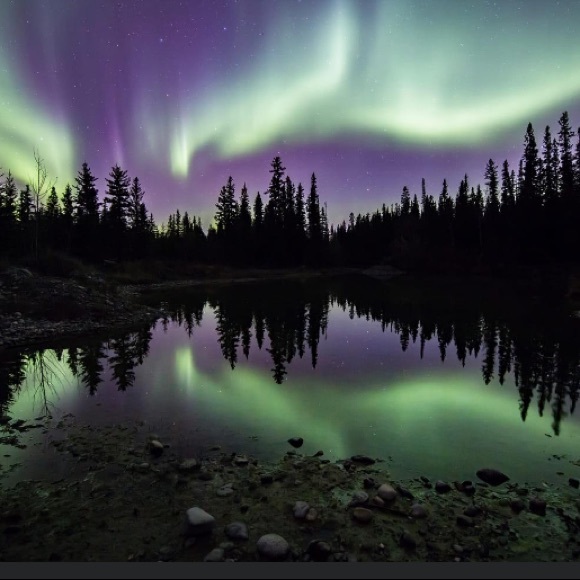 🌻🌹🥀 ✨WELCOME TO MY CLOSET ✨🥀🌹🌻 - Picture 10 of 16